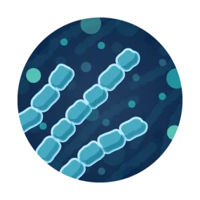 Algae Enumeration Water Test