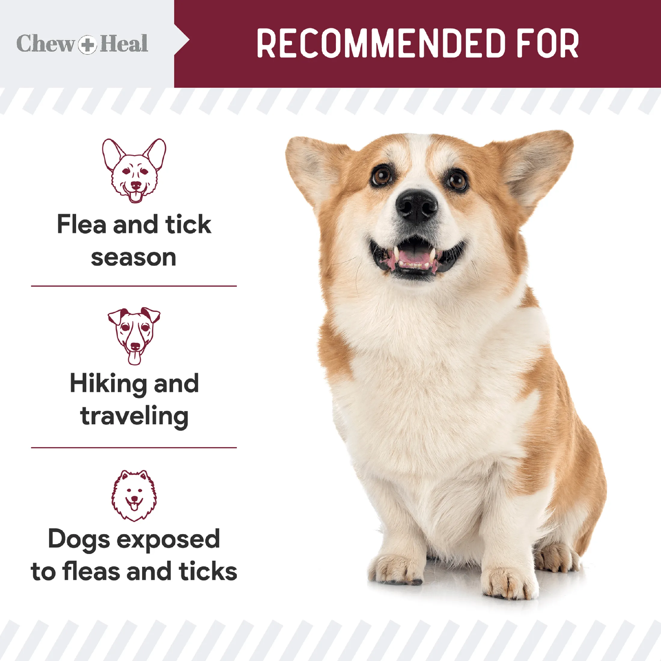 Chew   Heal Chewable Flea and Tick Prevention for Dogs - 180 Delicious Soft Chews