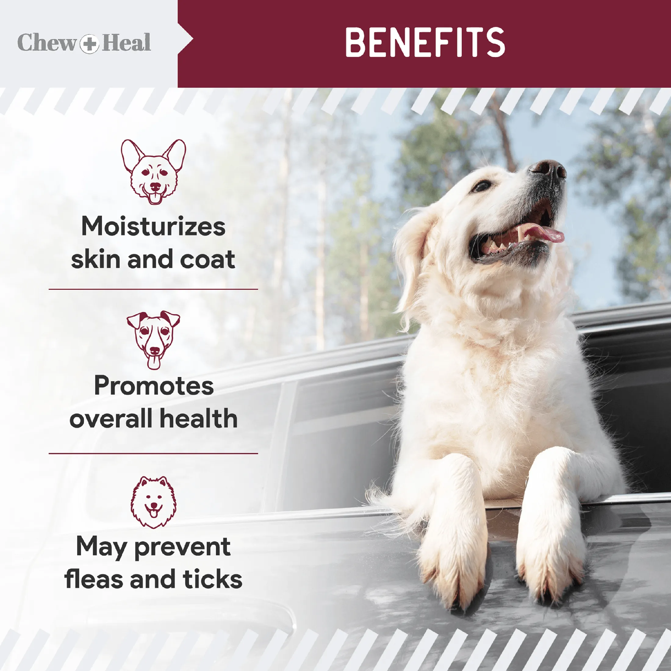 Chew   Heal Chewable Flea and Tick Prevention for Dogs - 180 Delicious Soft Chews