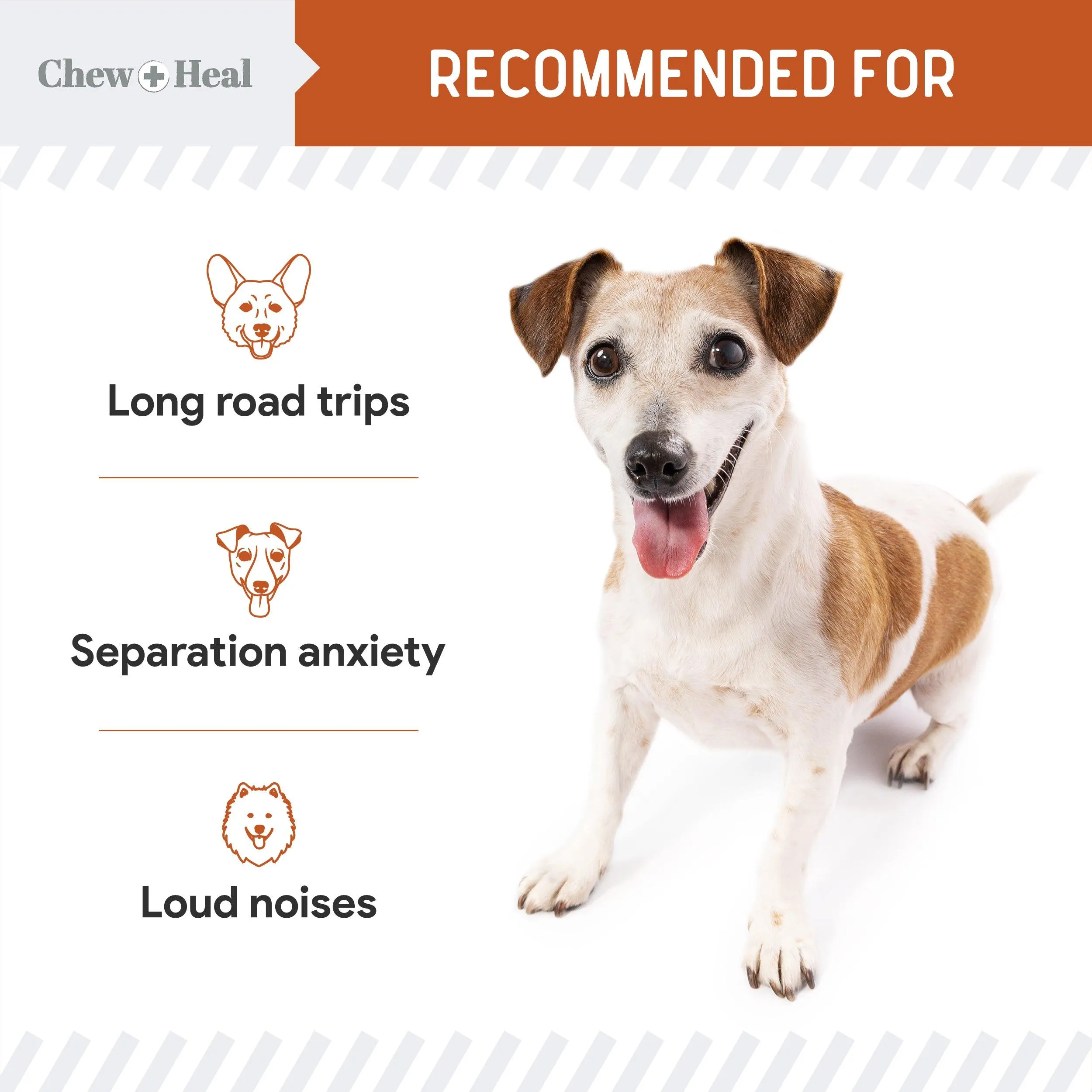 Chew   Heal Dogs Anxiety & Stress Calming Soft Chews