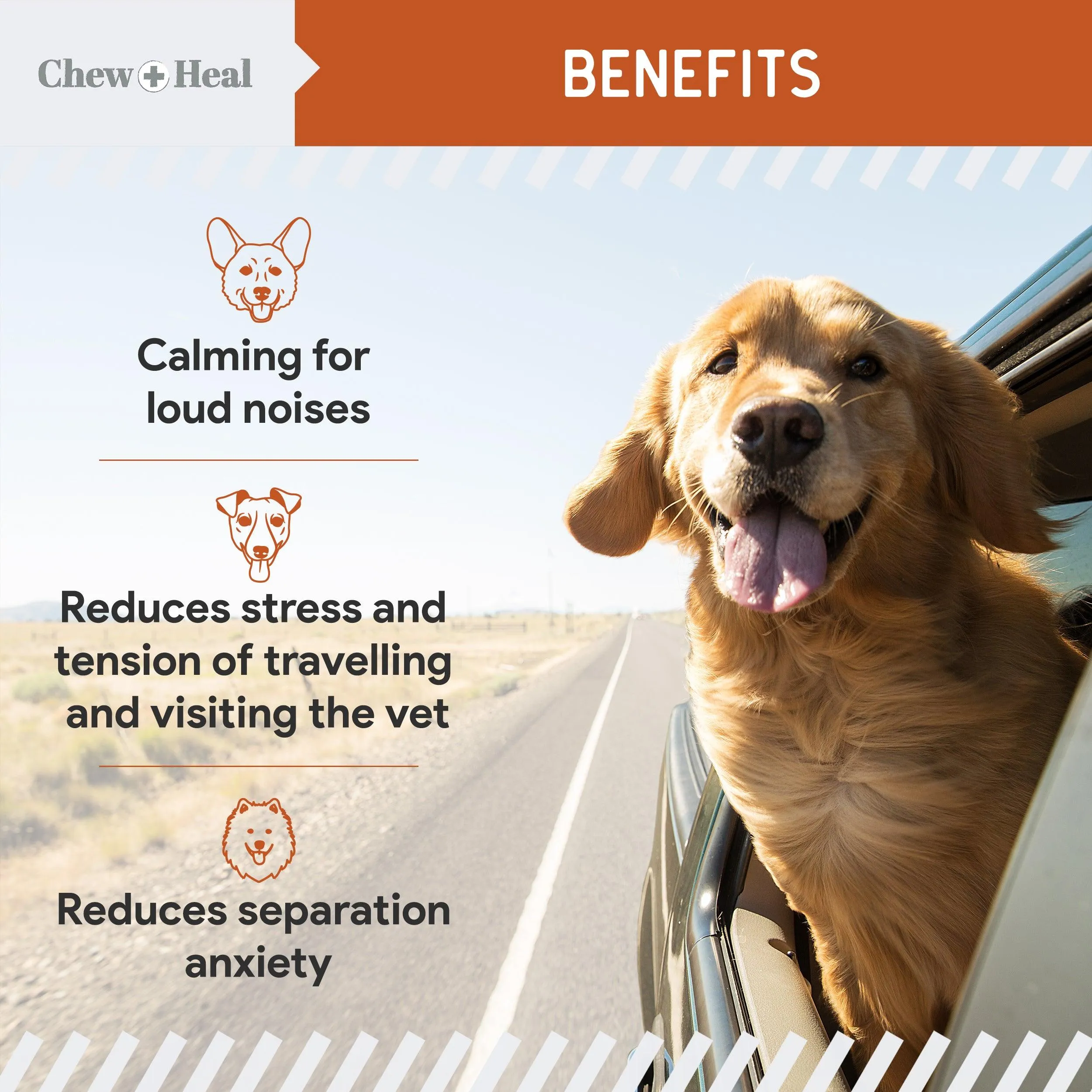 Chew   Heal Dogs Anxiety & Stress Calming Soft Chews