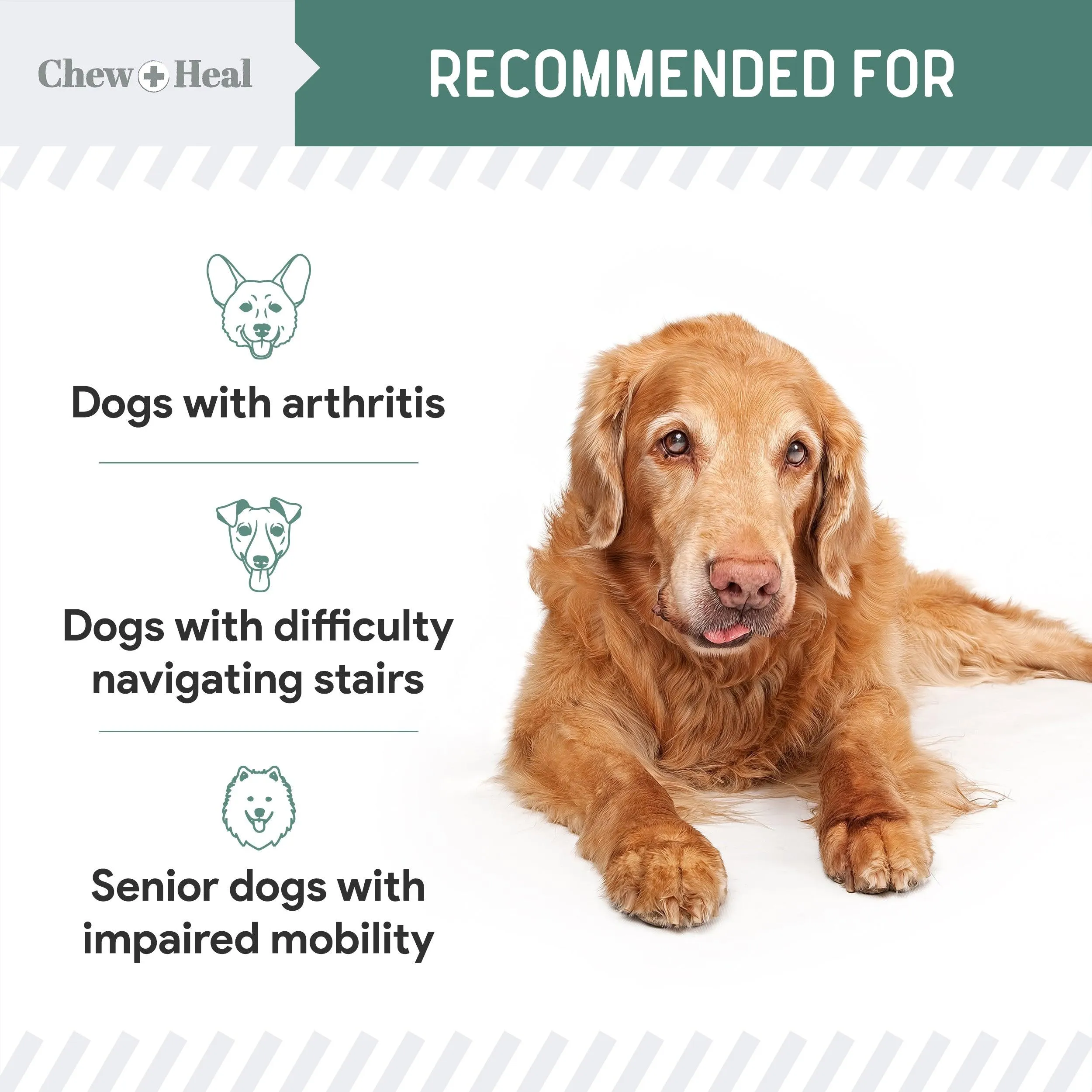 Chew   Heal Senior Hip And Joint Supplement For Dogs