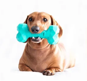 Dental Bone Toy