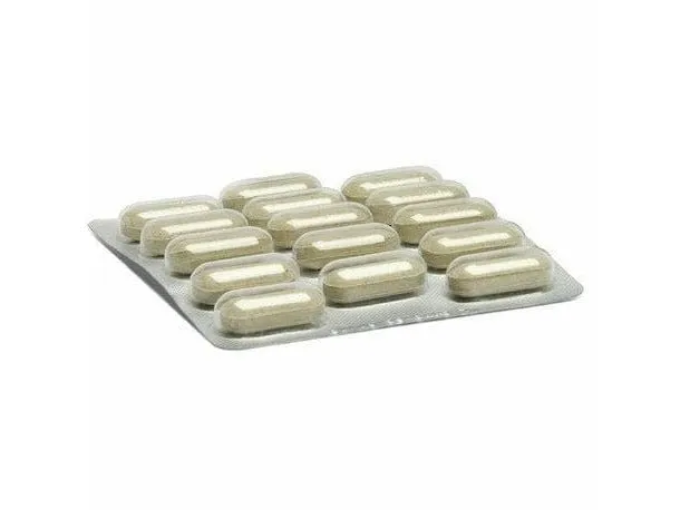 Enterosalus 2,5Gr 20 Pouches