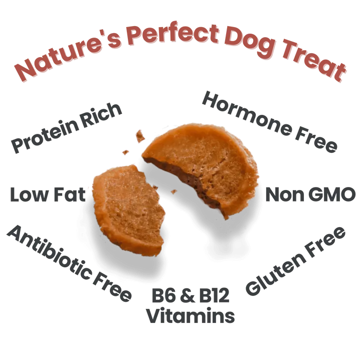 Farm To Pet Turkey Chips Single Ingredient Dog Treats