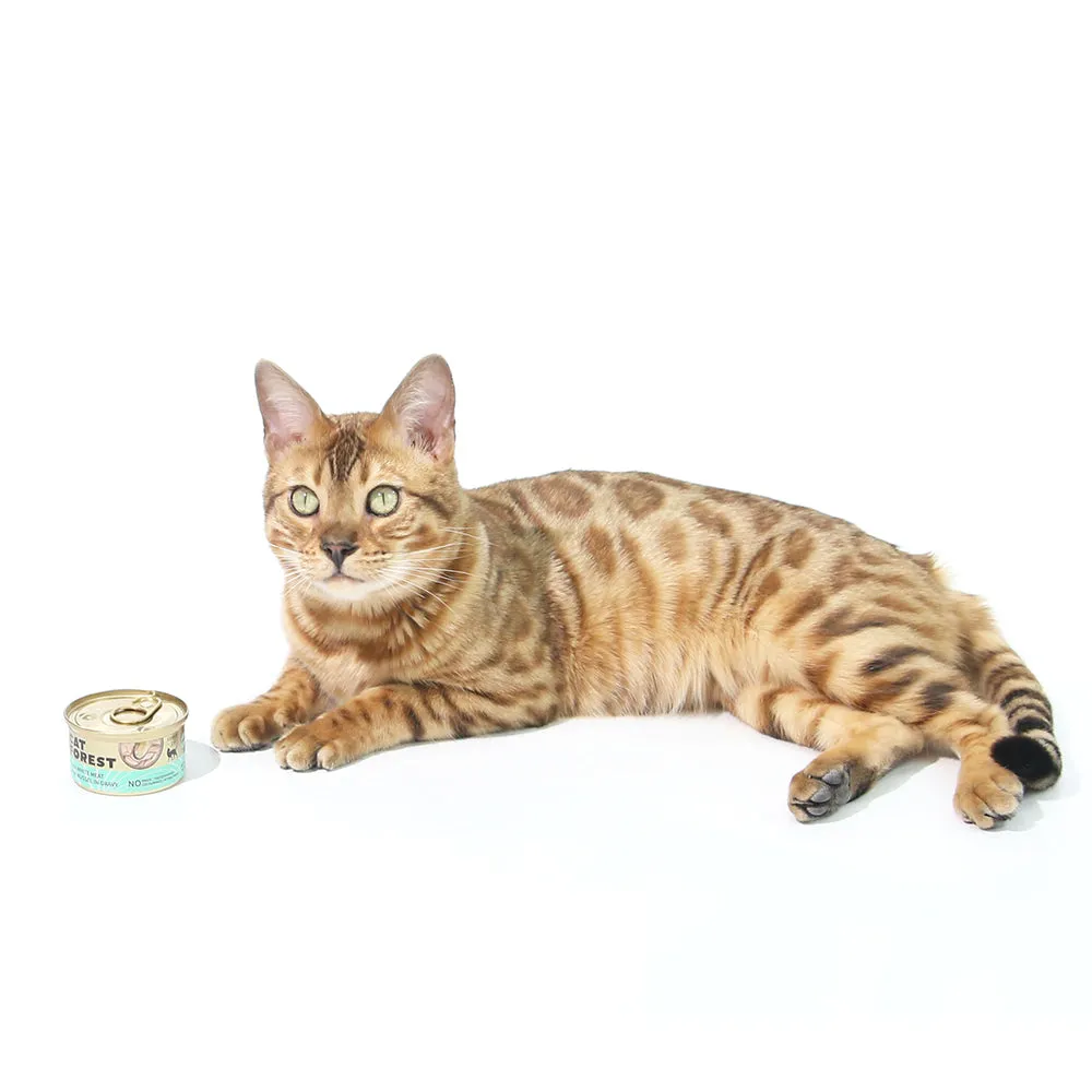 Grain-Free Tuna & Mussel Cat Food, Rich in Omega 85g X 24