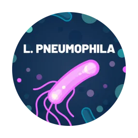 Legionella pneumophila Water Test