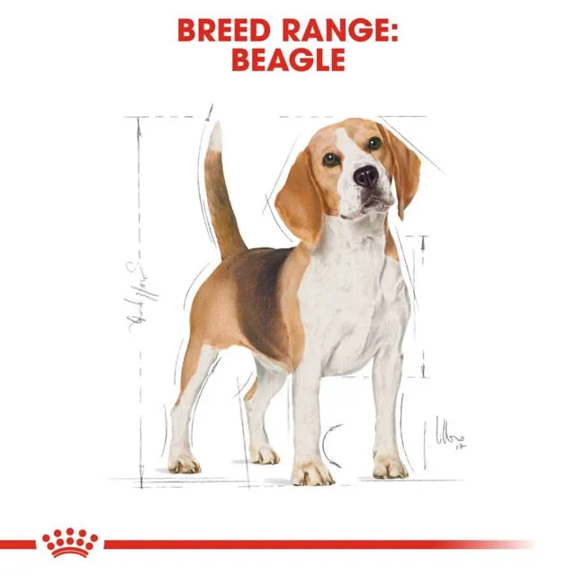 Royal Canin Beagle Adult