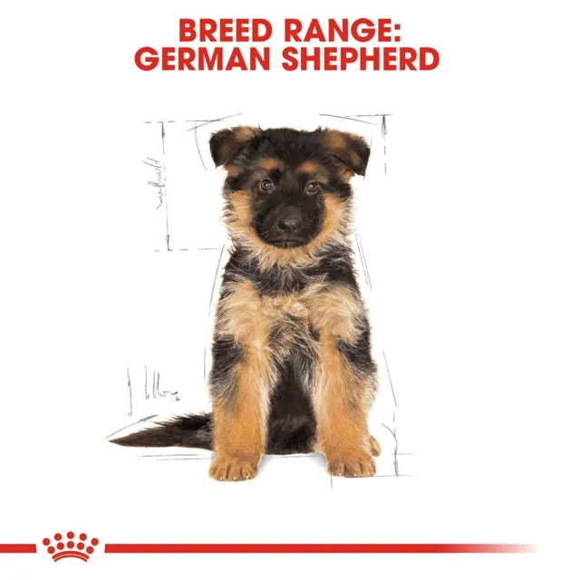 Royal Canin German Shepherd Puppy