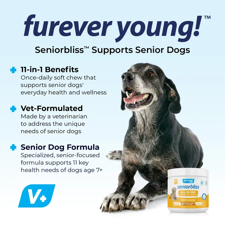 Seniorbliss™ All-in-One Supplement for Senior Dogs