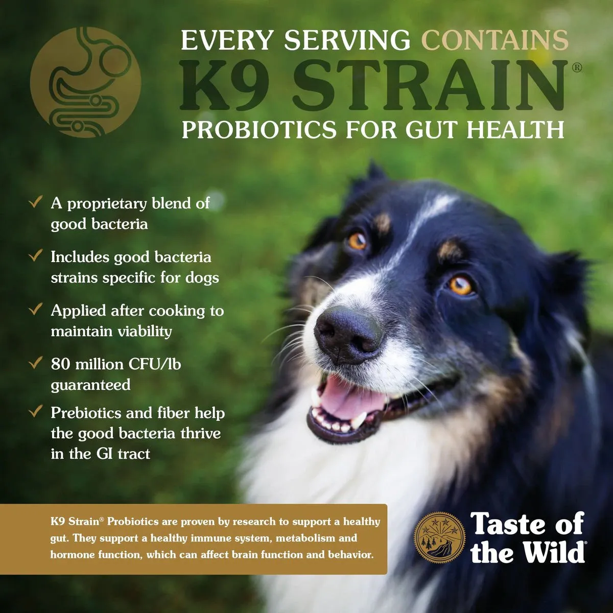 Taste Of The Wild Pine Forest Grain-Free Dog Food