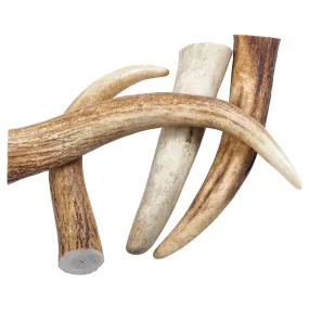 Tips Grade A Whole Elk Antler Dog Chews - Pack of 4