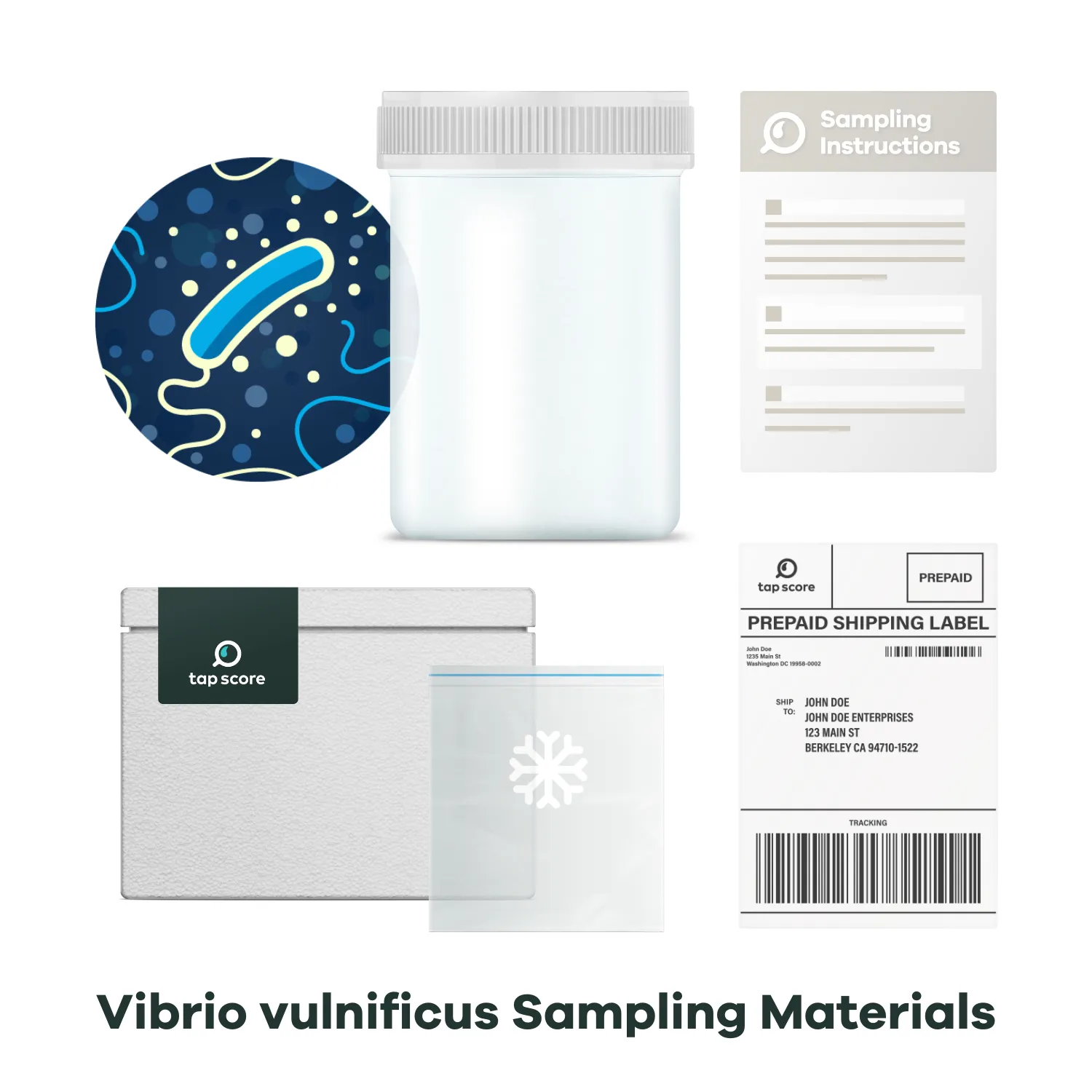 Vibrio vulnificus Water Test